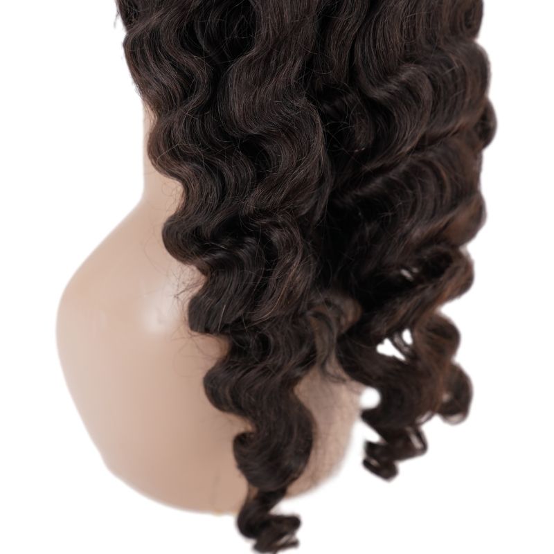 13x4 Brazilian Loose Wave Transparent Lace Front Wig - Regality Hair & Beauty