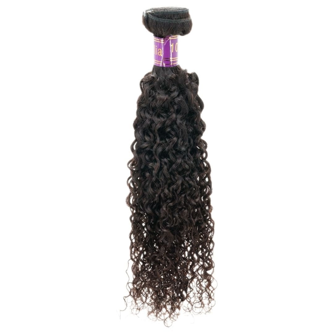 Brazilian Kinky Curly - Regality Hair & Beauty